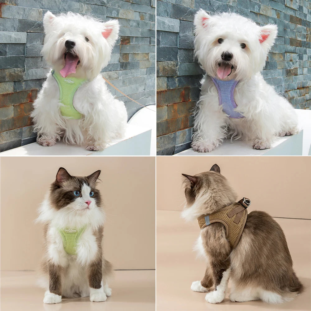 Puppy Cat Harness with Leash Breathable Waffle Pet Vest Clothes for Small Mid Dogs Cats Harness Collar Yorkshire Dog Accessories