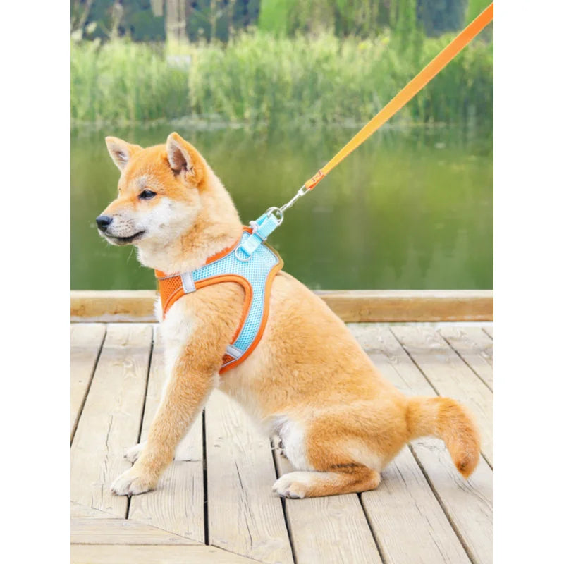 Dog Harness Pet Adjustable Vest Leash Collar For Puppy Best Selling Dog Harness and Leash Set Dog Accessories