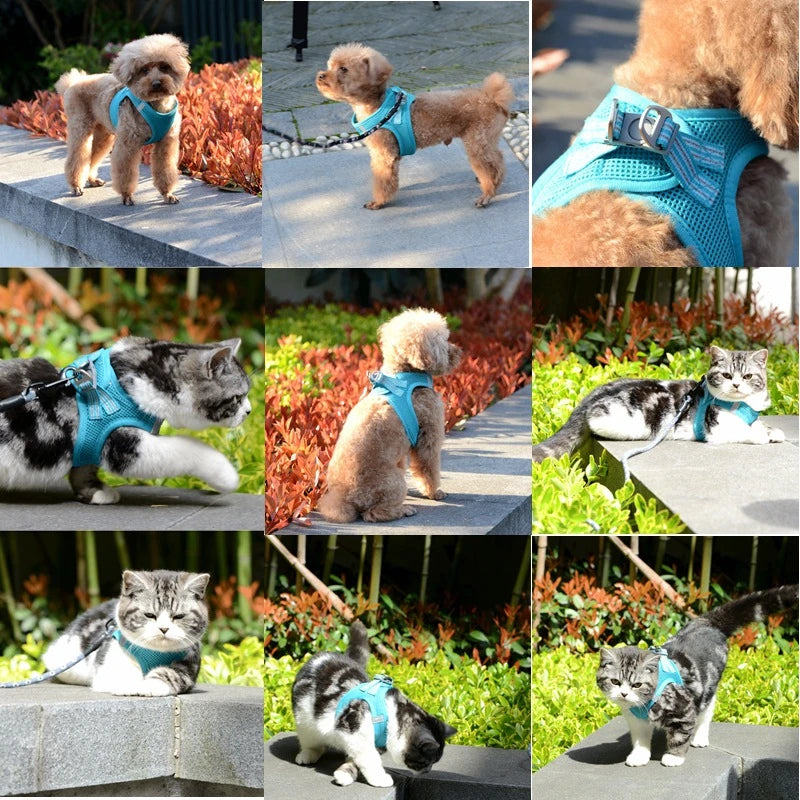 New Dog Harness Vest Adjustable Pet Walking Lead Leash Puppy Cat Collars Harness for Small Medium Dog Pet Harness Accessories