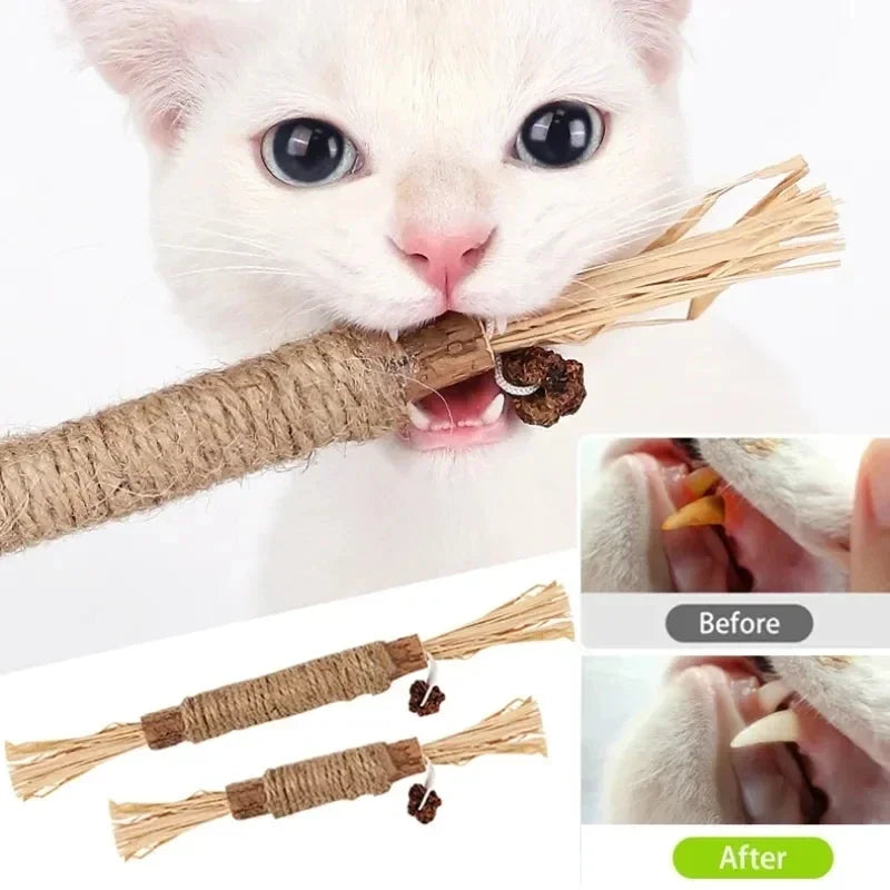 Cat Toys Silvervine Chew Stick Pet Snacks Sticks Natural Stuff with Catnip for Kitten Cats Cleaning Teeth Cat Accessories Katze