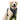Pet Dog Harness Reflective Adjustable Breathable Dog Vest Harness for Small Medium Large Dogs Cat Dog Collar Dog Accessoires