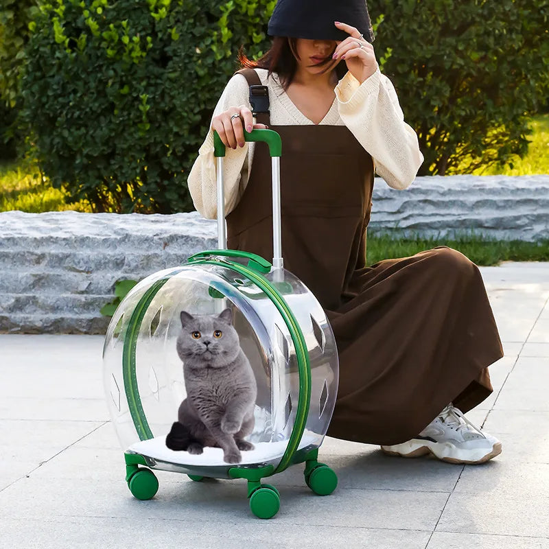 Trolley Suitcase Carrier Transparent Pet Carrying Bag Cats Conveyors Carrying and Strollers Cat Cage with Wheels Pet Products