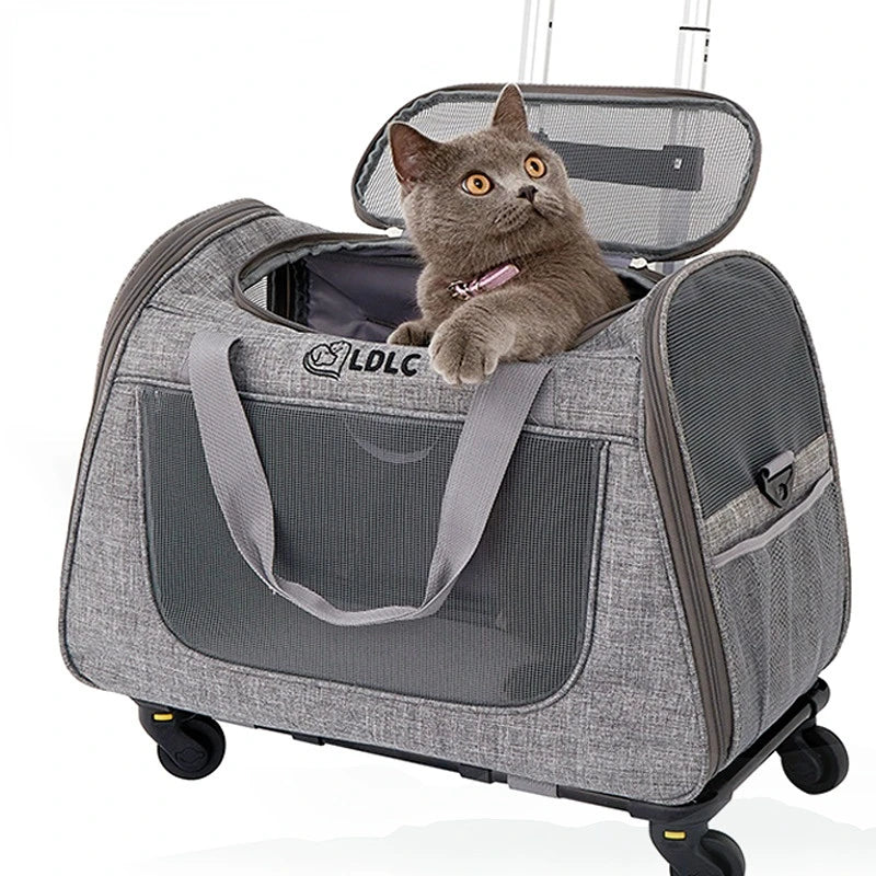 Outing Portable Breathable Puppy Carrier Pull Rod Box Pet Trolley Case Cat Travel Transport Bag Cat Cage Handbag Dog Backpack
