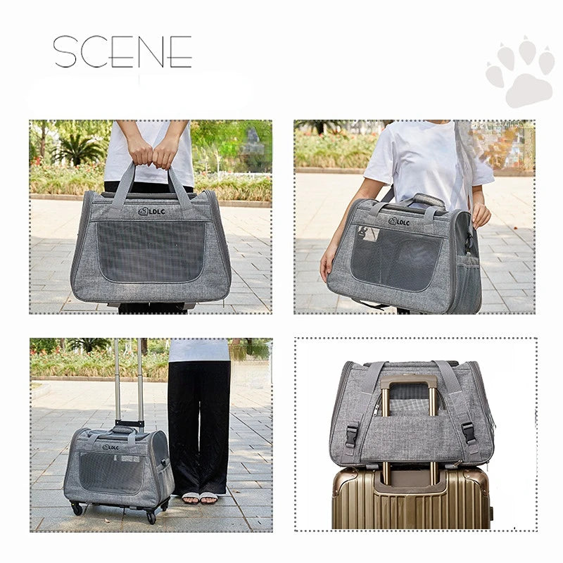 Outing Puppy Carrier Pull Rod Box Pet Trolley Case Cat Travel Breathable Transport Bag Cat Cage Handbag Dog Backpack Portable