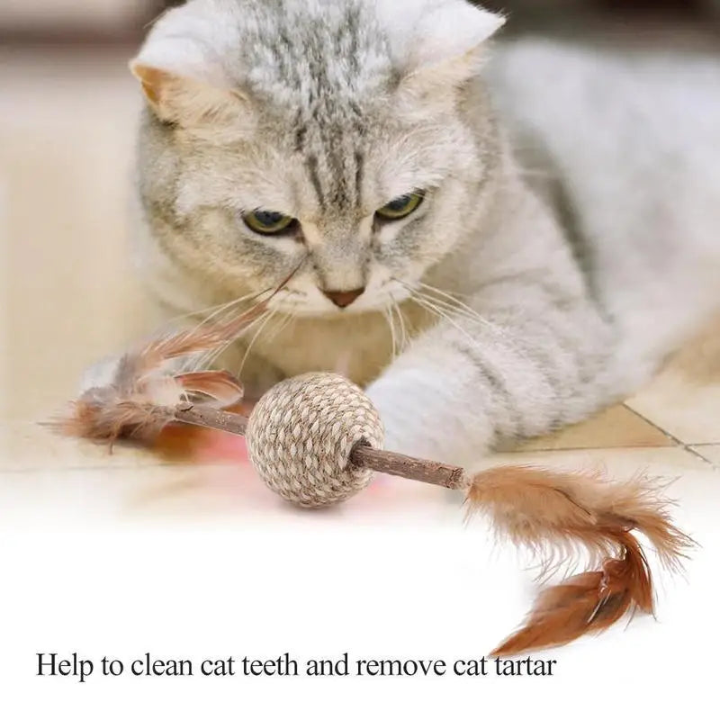 Cats Kitten Chew Toy Catnip Matatabi Molar Toy Cat Chew Sticks Dental Health Clean Cat Teeth And Remove Cat Tartar Pet Toys